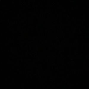 Meet your Posher, Donelle